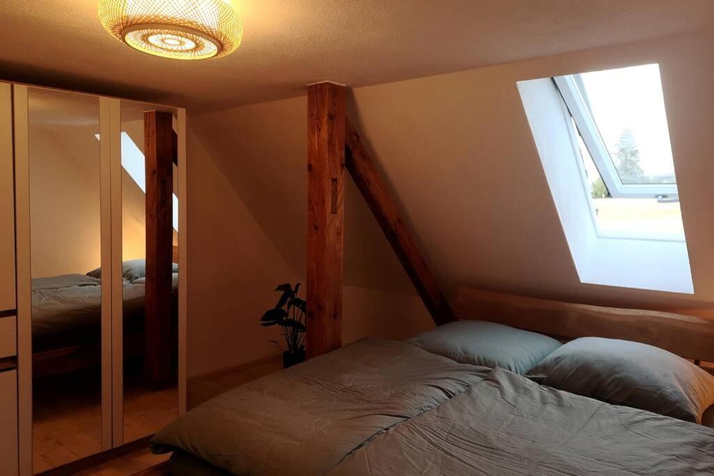 Ruhig Gelegene, Top Moderne Ferienwohnung - Hot Tub Und Sauna Gegen Aufpreis Neuhaus an Der Eger Exteriör bild