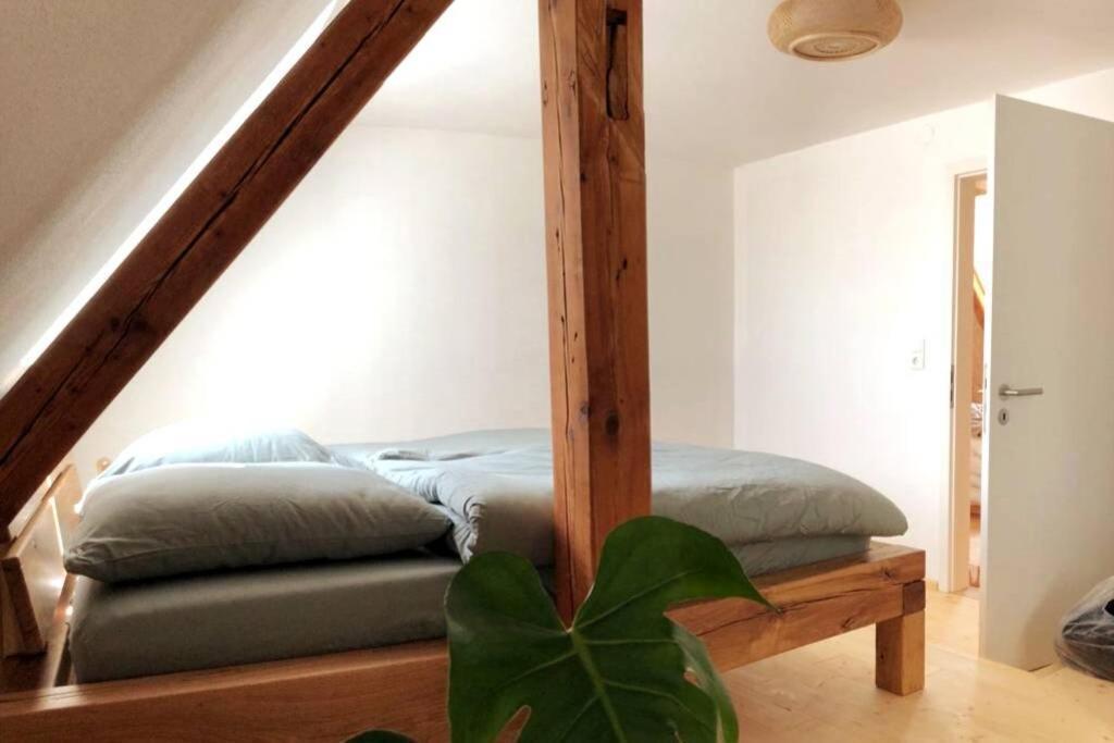 Ruhig Gelegene, Top Moderne Ferienwohnung - Hot Tub Und Sauna Gegen Aufpreis Neuhaus an Der Eger Exteriör bild