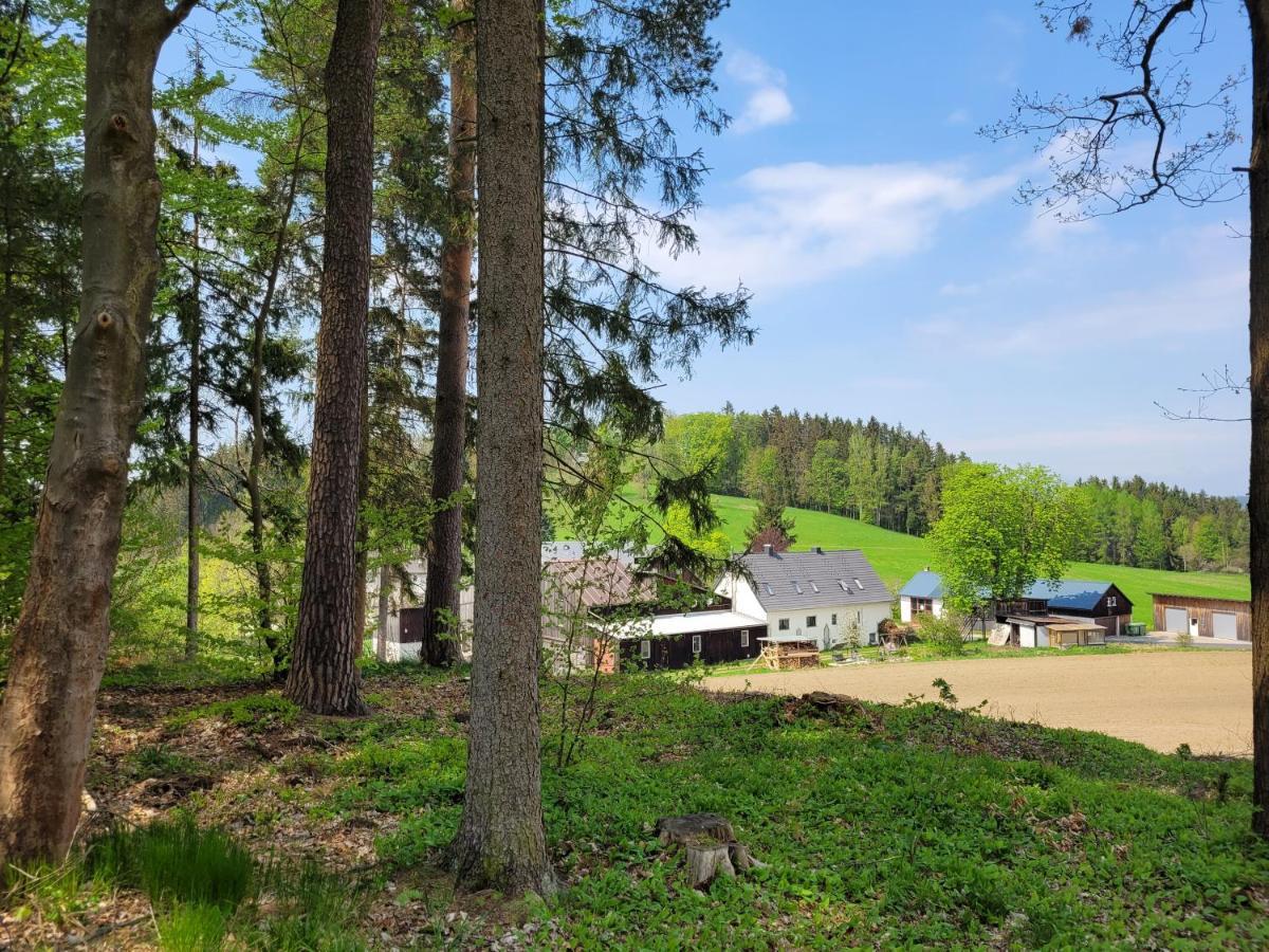Ruhig Gelegene, Top Moderne Ferienwohnung - Hot Tub Und Sauna Gegen Aufpreis Neuhaus an Der Eger Exteriör bild