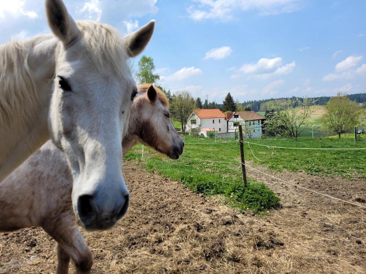 Ruhig Gelegene, Top Moderne Ferienwohnung - Hot Tub Und Sauna Gegen Aufpreis Neuhaus an Der Eger Exteriör bild