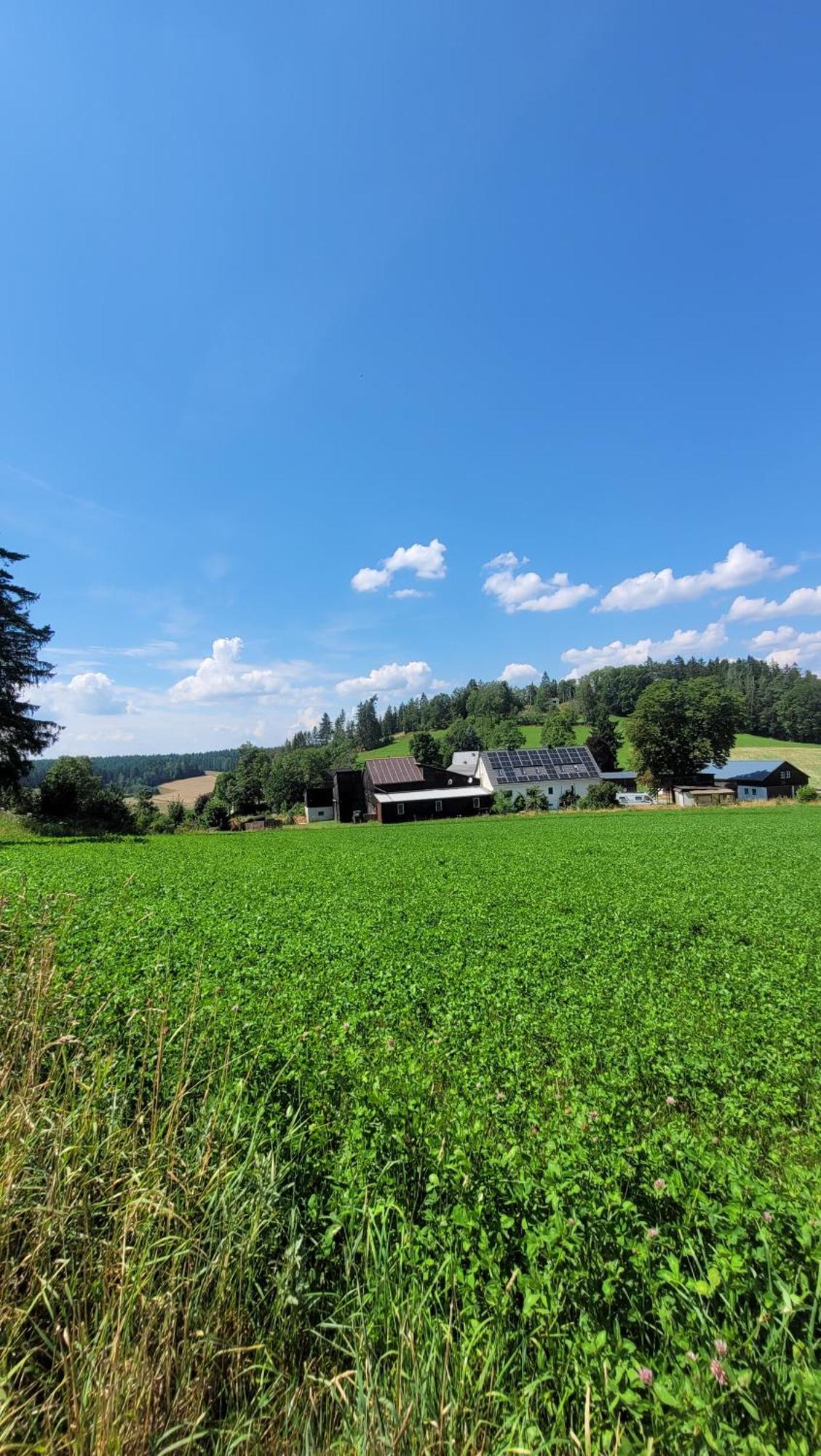 Ruhig Gelegene, Top Moderne Ferienwohnung - Hot Tub Und Sauna Gegen Aufpreis Neuhaus an Der Eger Exteriör bild