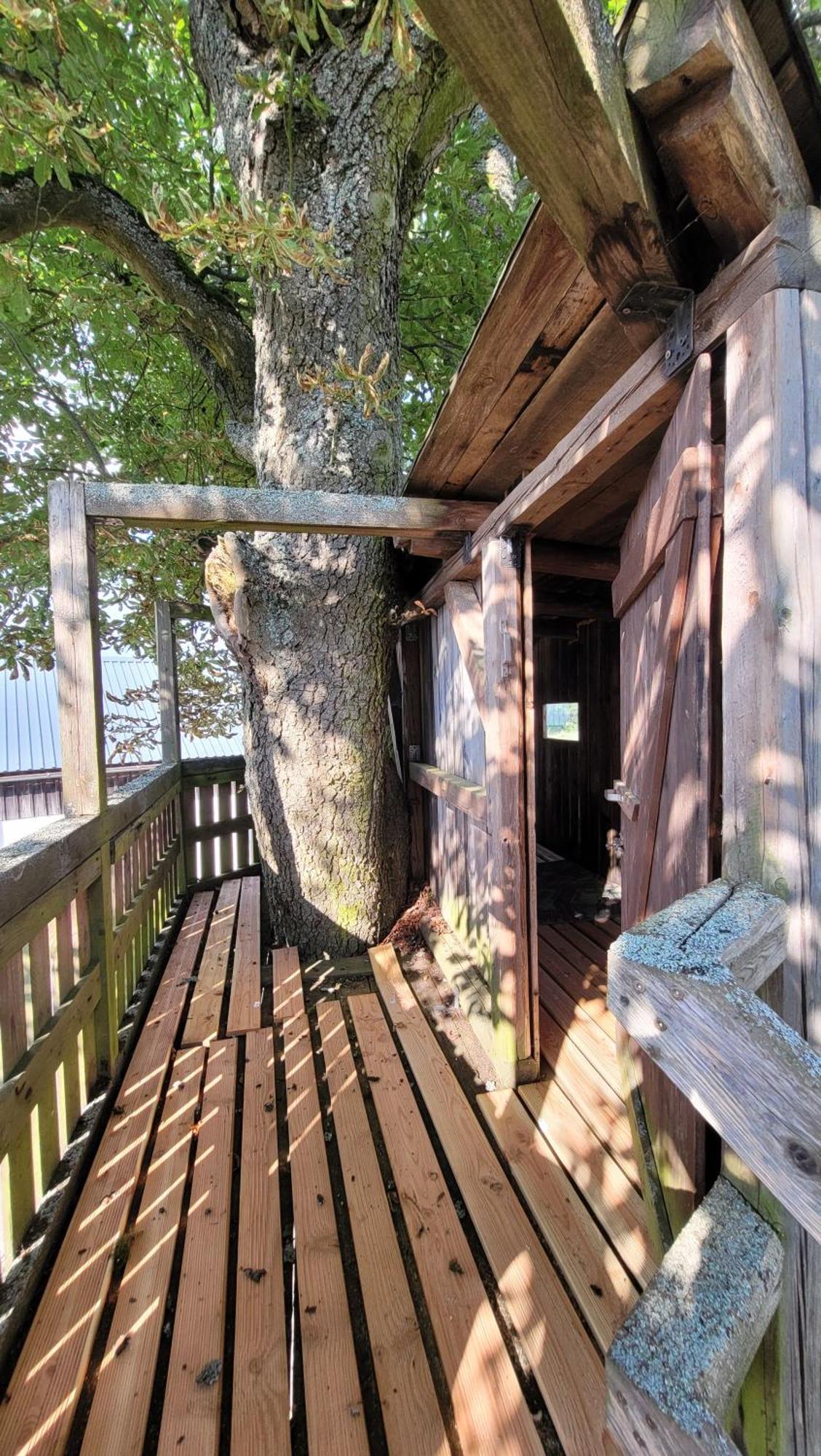 Ruhig Gelegene, Top Moderne Ferienwohnung - Hot Tub Und Sauna Gegen Aufpreis Neuhaus an Der Eger Exteriör bild
